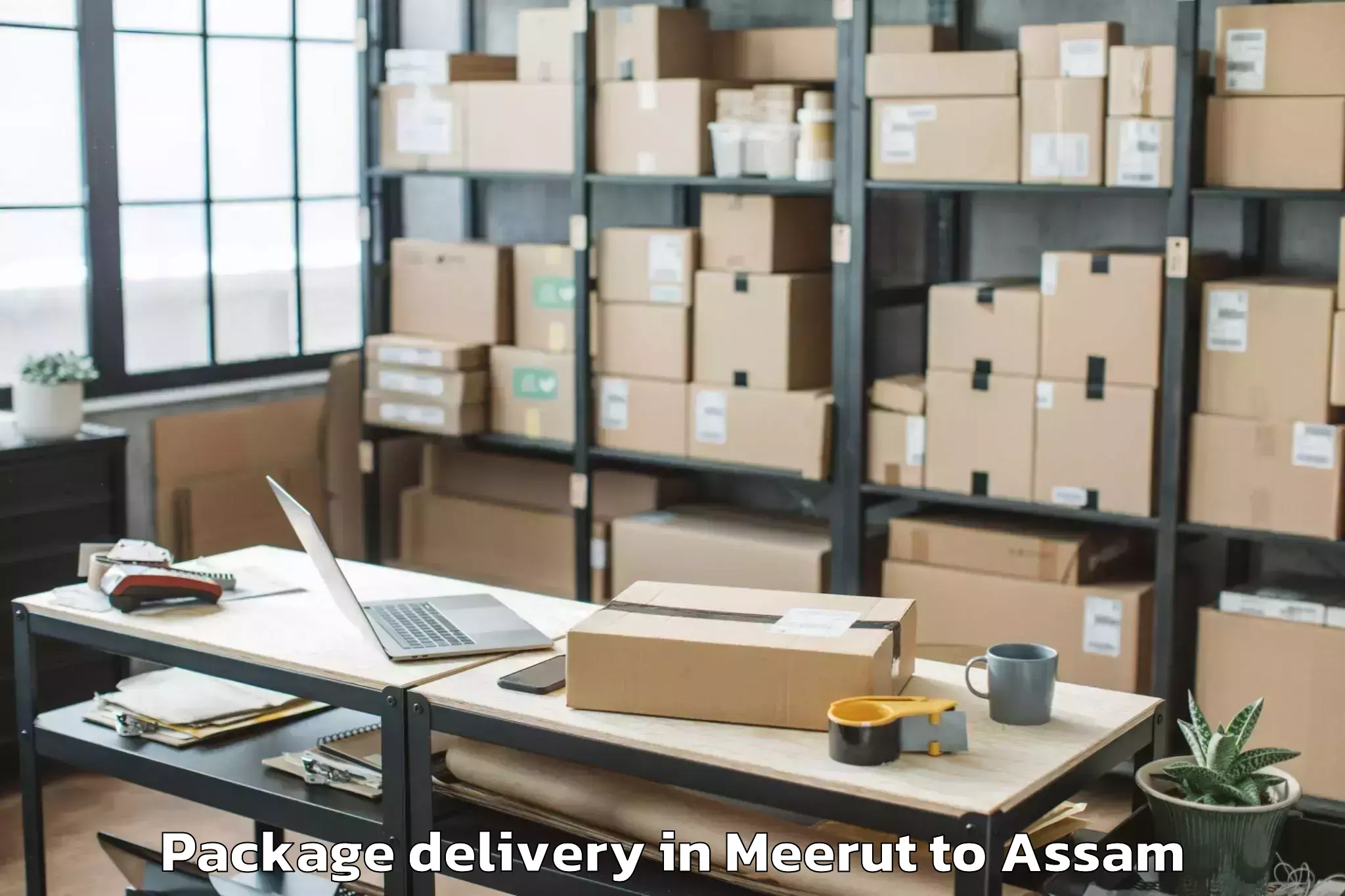 Trusted Meerut to Kaliabor Package Delivery